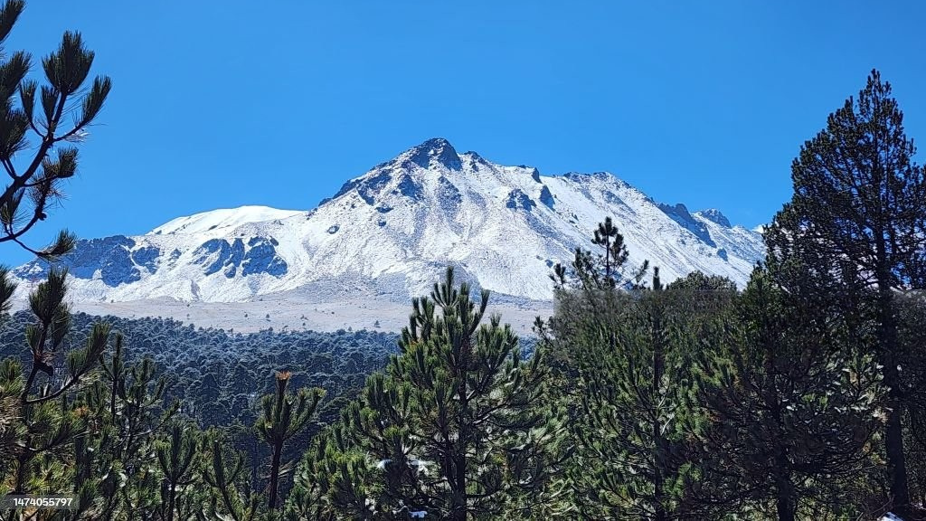 Montaña nevada del Nevado de Toluca rodeada de bosque de pinos